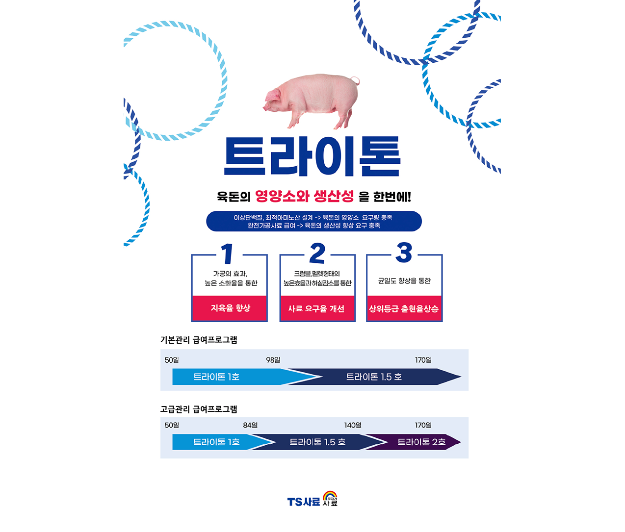 [육돈] 트라이톤