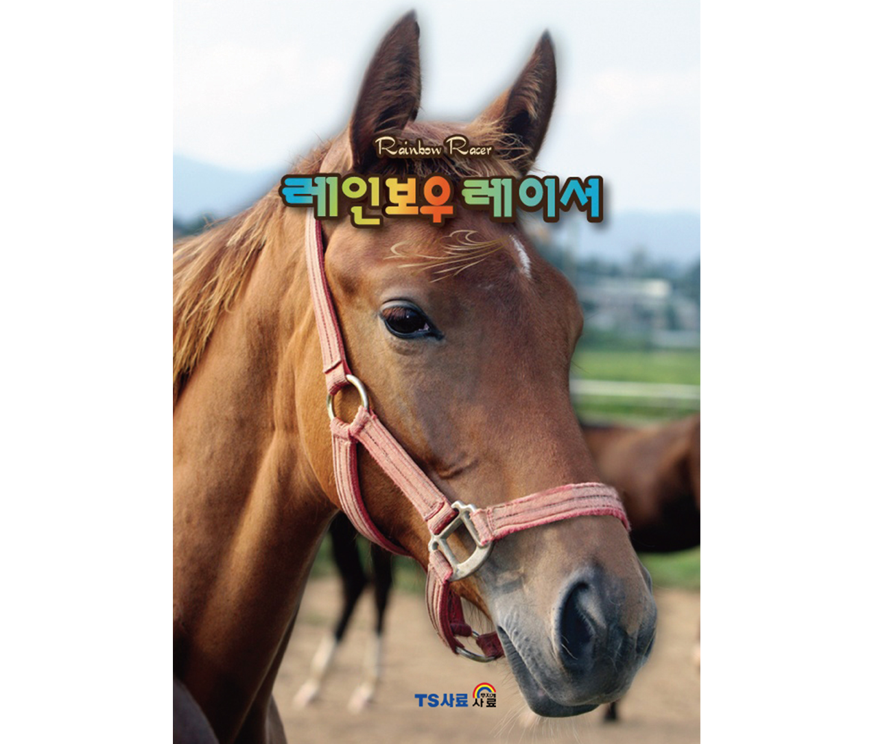 레인보우레이서