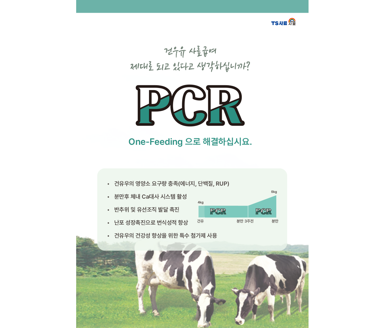 [건유] PCR (펠렛)