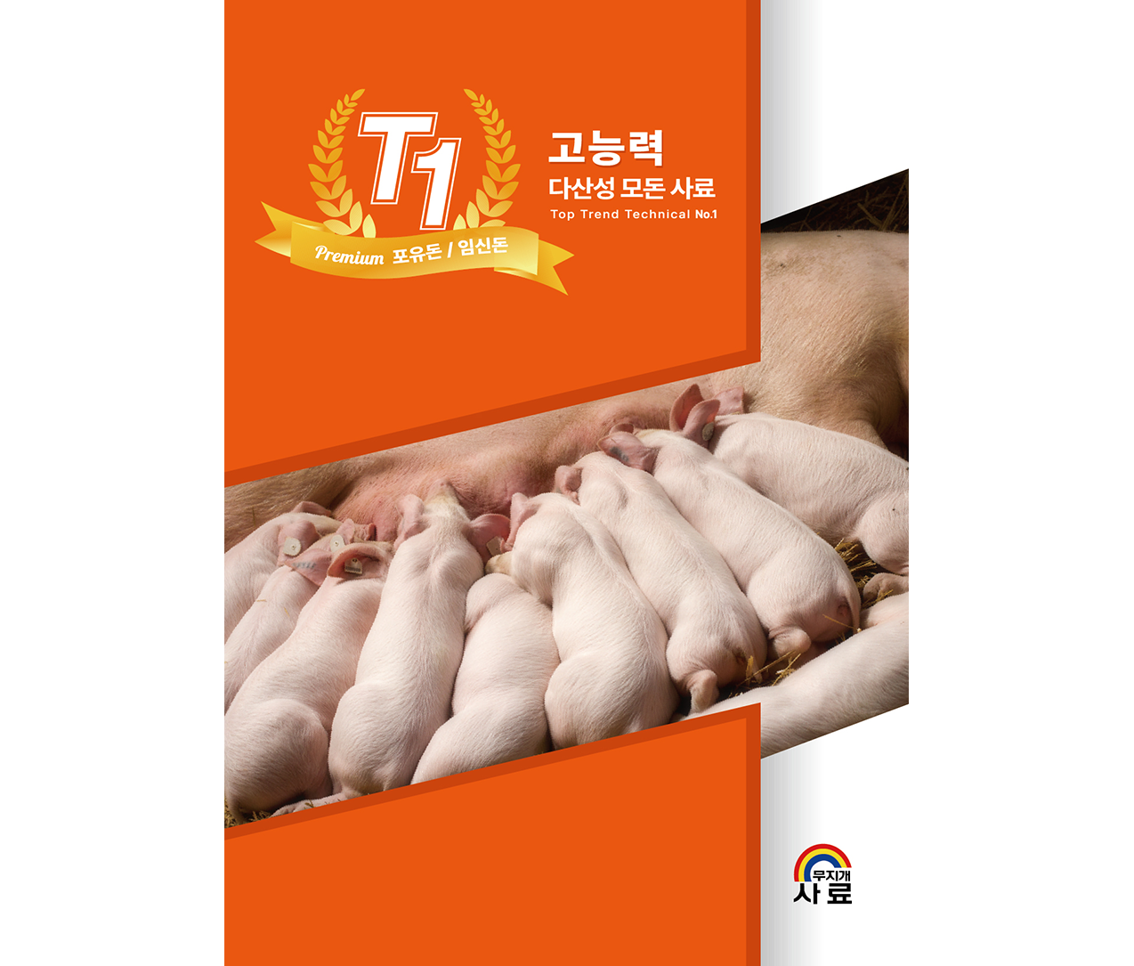 [모돈] T1 리스트이미지