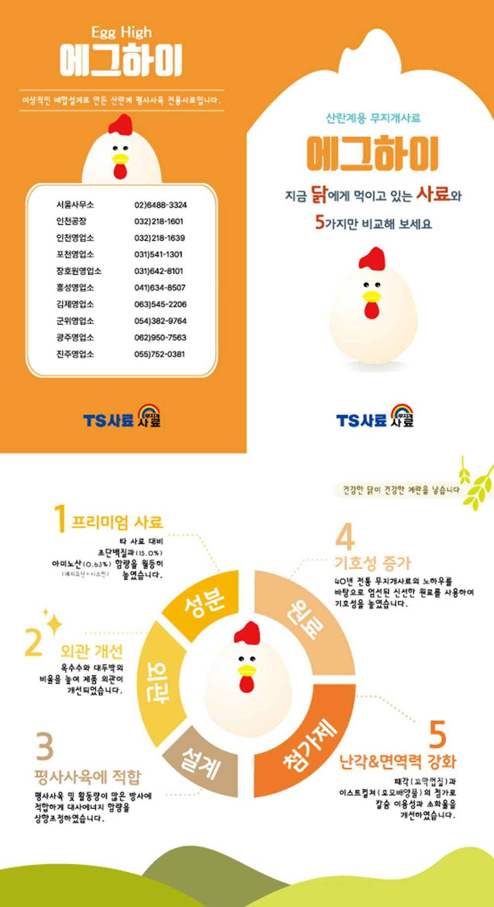 에그하이 상세이미지