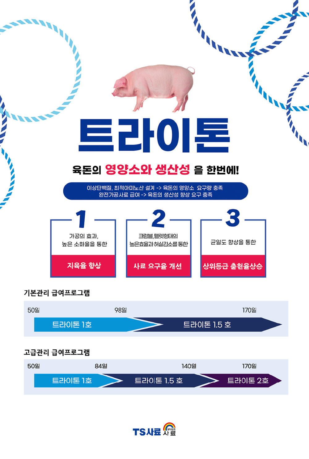 [육돈] 트라이톤 상세이미지