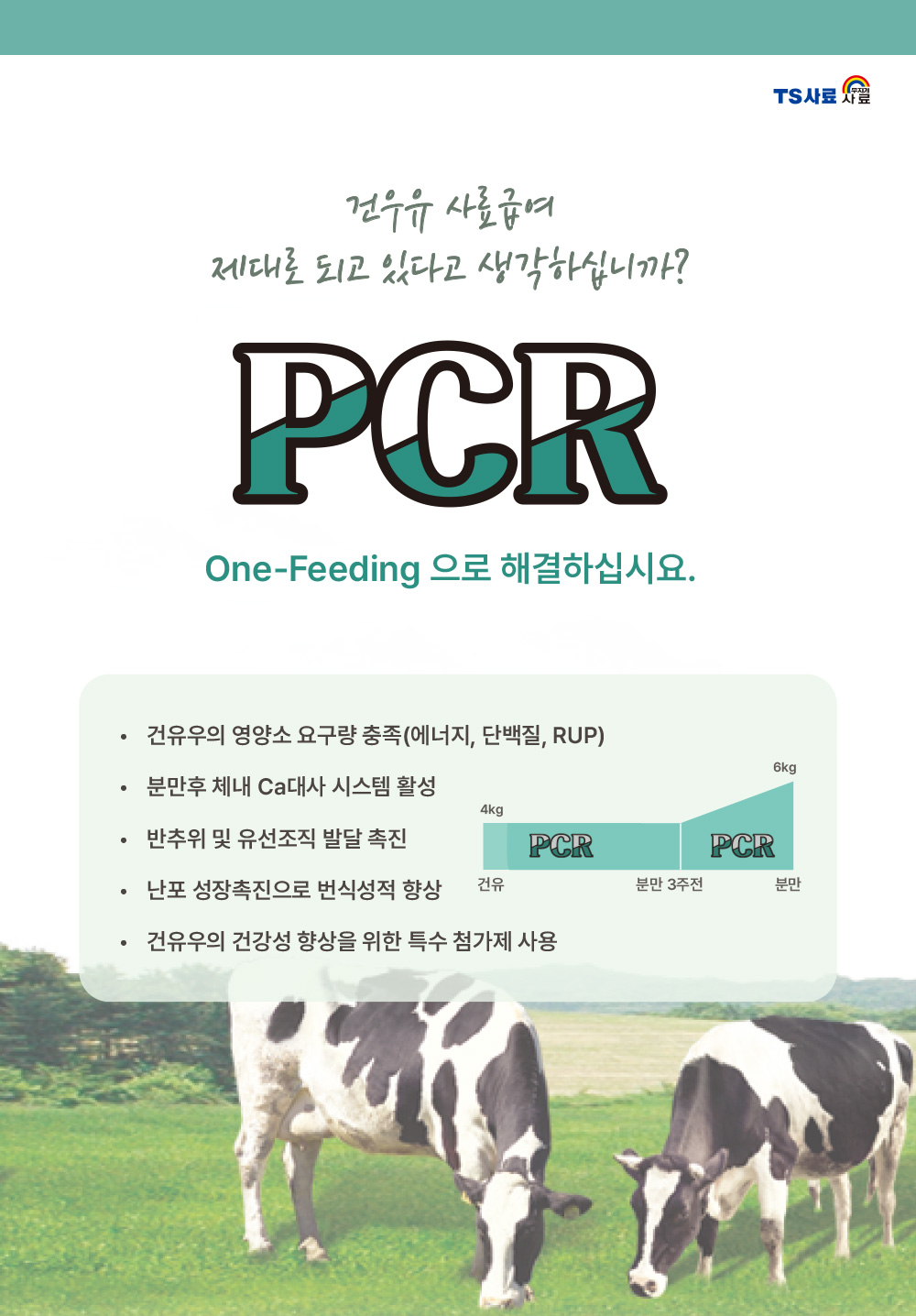 [건유] PCR (펠렛) 상세이미지