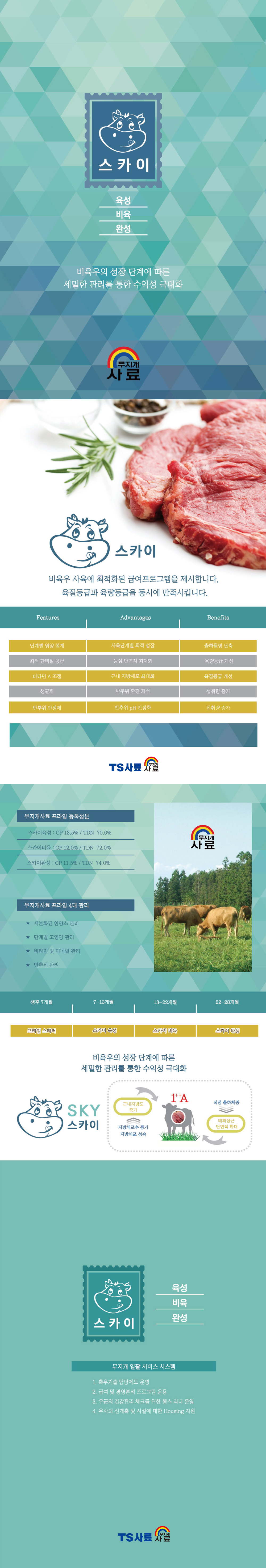 스카이시리즈 상세이미지