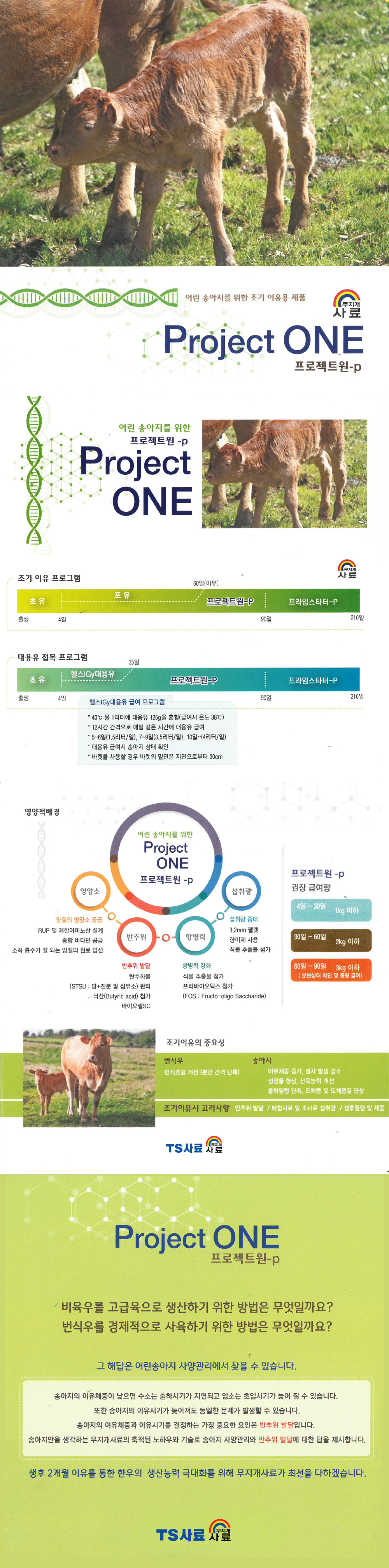 [송아지] 프로젝트원 상세이미지