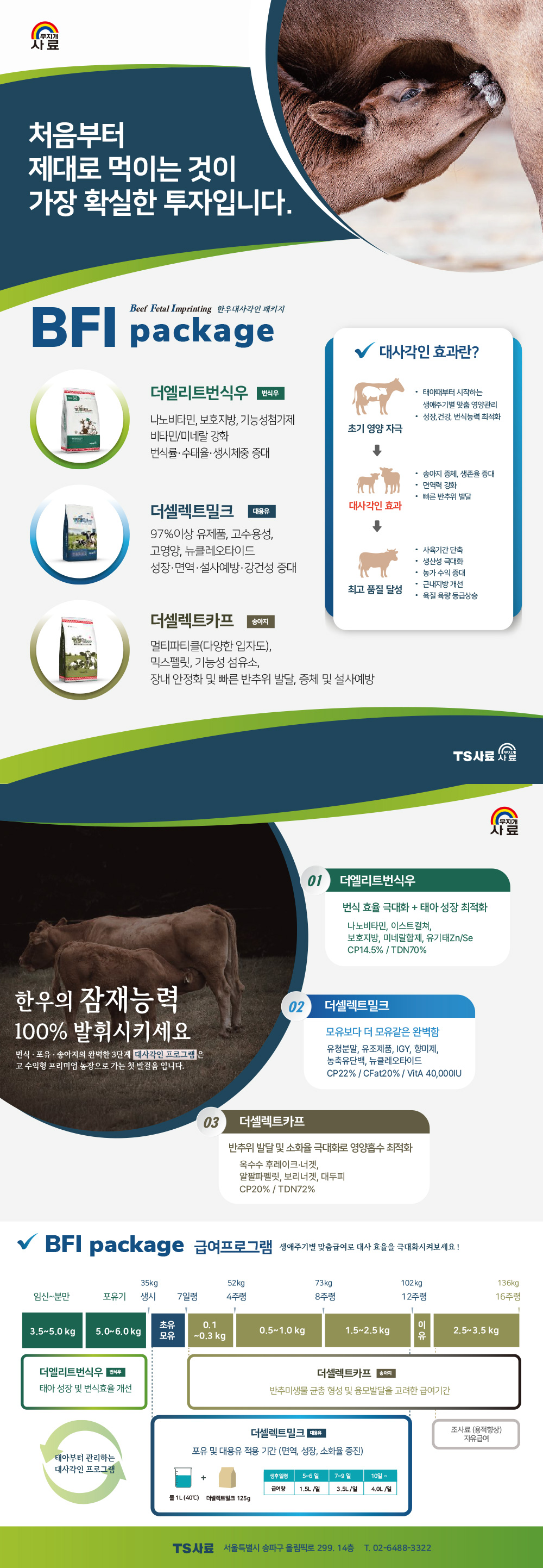 대사각인 패키지 상세이미지